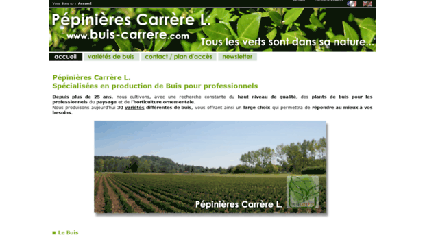 buis-carrere.com