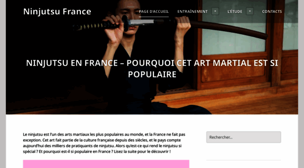 bujinkan-france.com