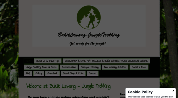 bukitlawang-jungletrekking.com