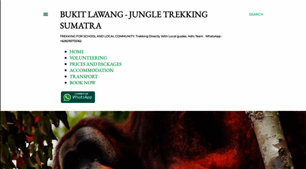 bukitlawang-wildlife.blogspot.de