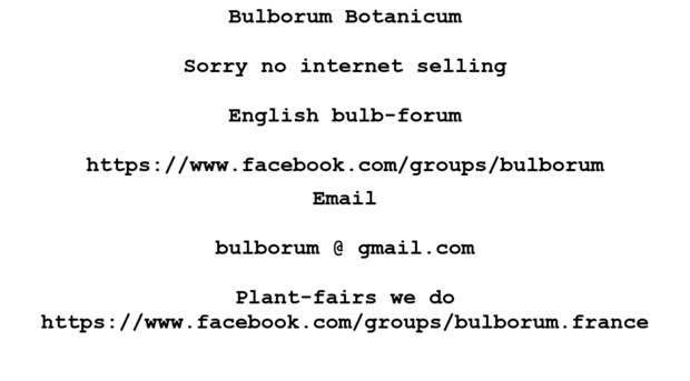 bulborum.com