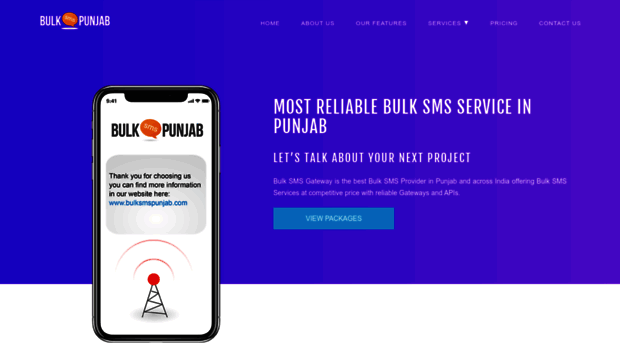 bulksmspunjab.com