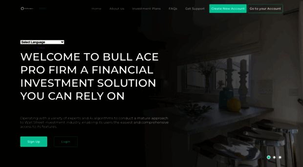 bullacepro.com