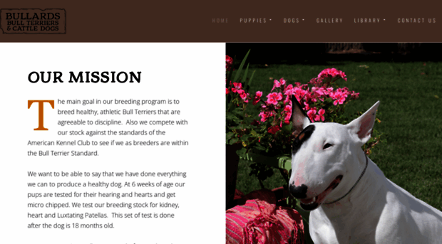 bullardsbullterriers.com