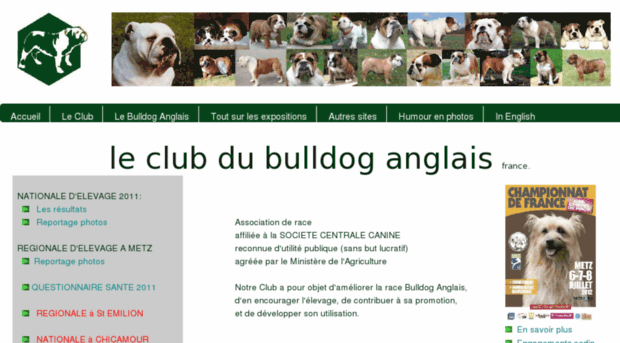 bulldog.asso.fr