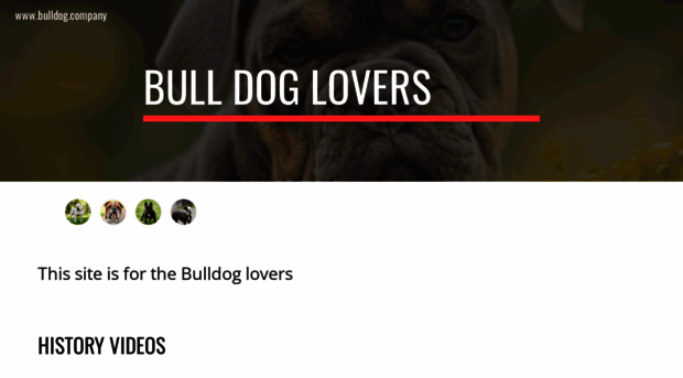 bulldog.company