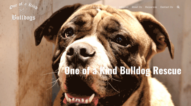 bulldoggerescues.com