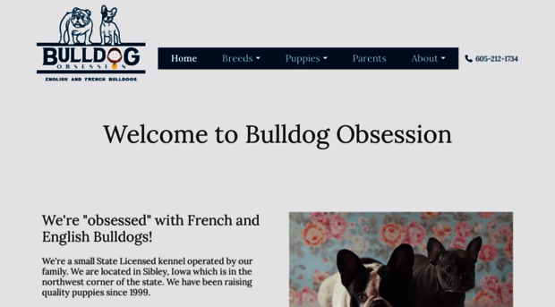 bulldogobsession.com