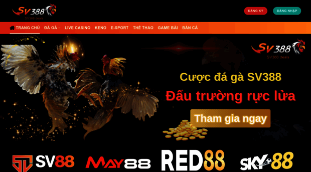 bullera.io