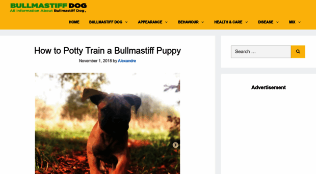 bullmastiff-info.com