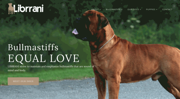 bullmastiff.dk