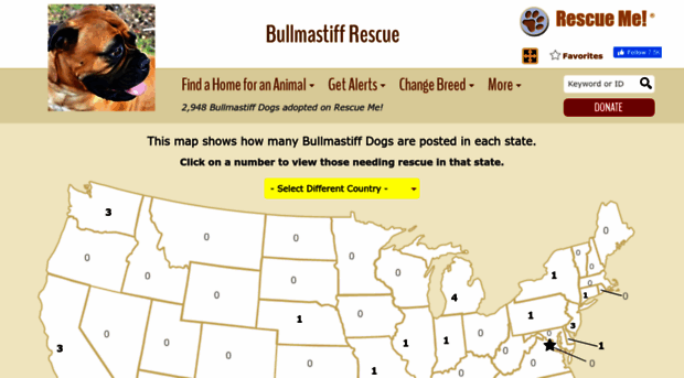 bullmastiff.rescueme.org