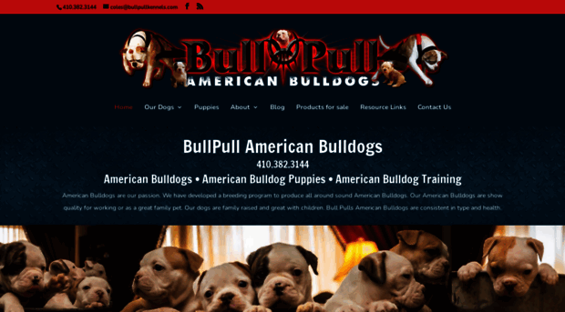 bullpullkennels.com