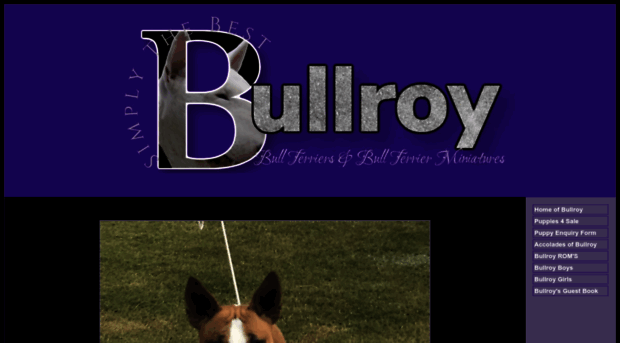 bullroy.com