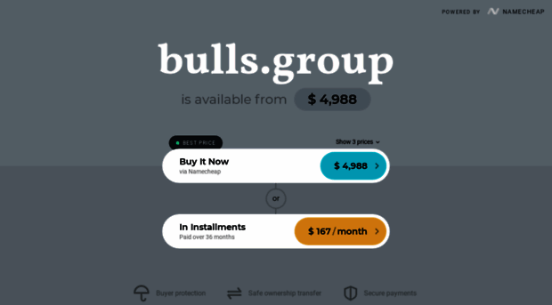 bulls.group