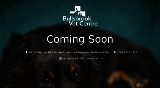 bullsbrookvet.com.au