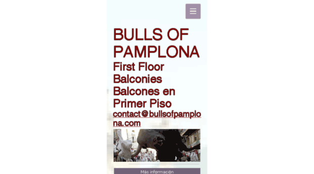 bullsofpamplona.com