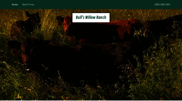 bullswillowranch.com