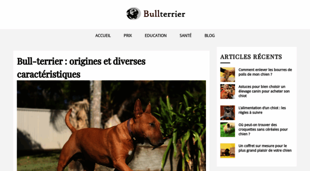 bullterrier.fr