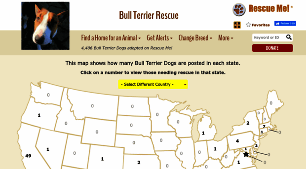 bullterrier.rescueme.org