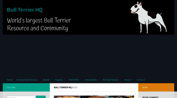 bullterrierhq.com