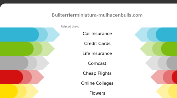 bullterrierminiatura-mulhacenbulls.com