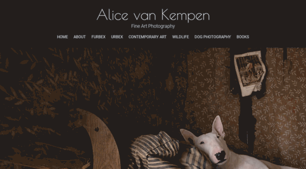 bullterriers.alicevankempen.com