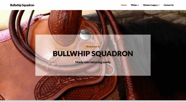 bullwhipsquadron.org