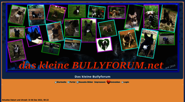 bully.forumieren.de