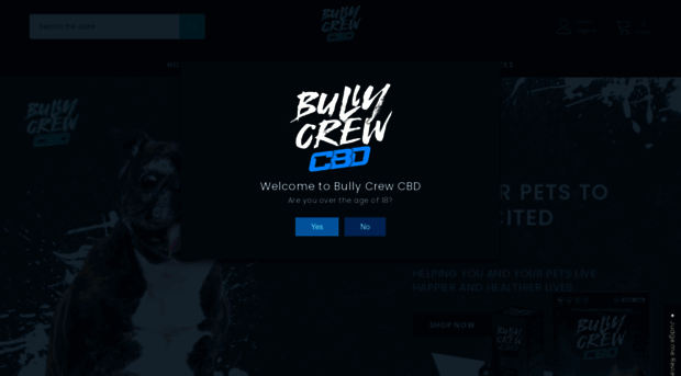 bullycrewink.com