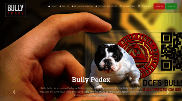 bullypedex.com