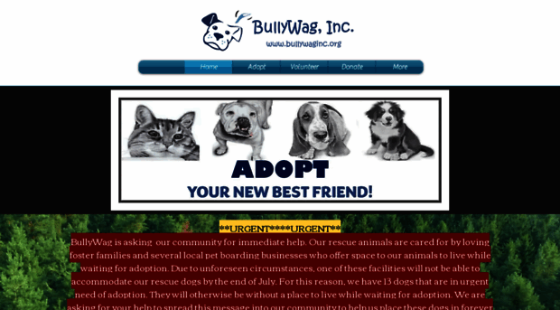 bullywaginc.org