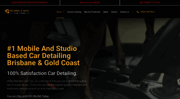 bumblebeecarcare.com.au - Mobile Car Detailing Brisbane - Bumble