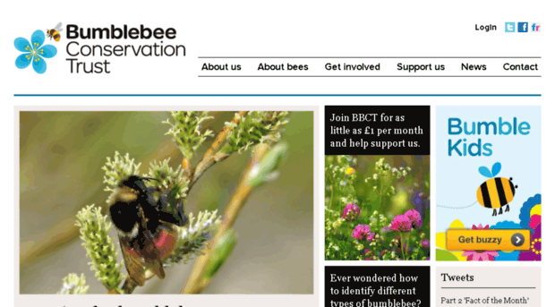 bumblebeeconservation.org.uk