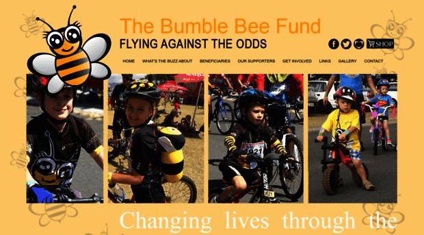 bumblebeefund.co.za