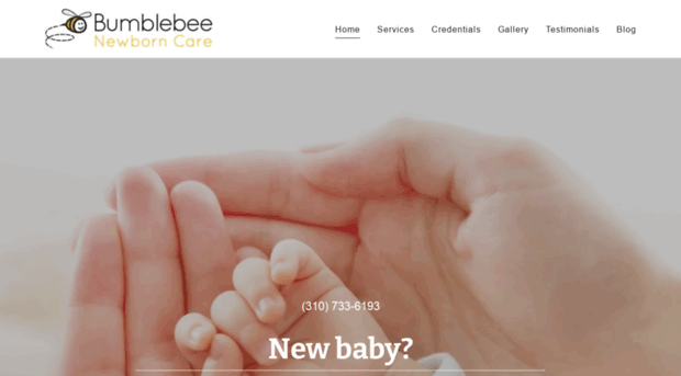 bumblebeenewborncare.com