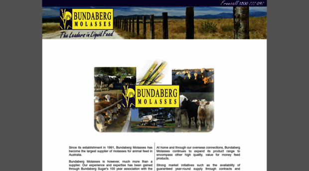 bundabergmolasses.com.au