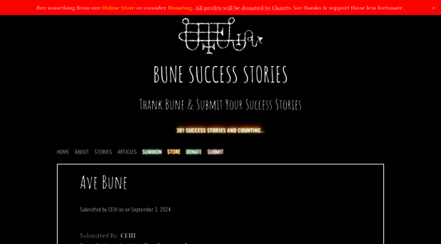 bunesuccess.com