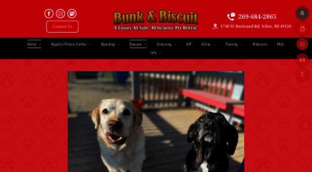bunkandbiscuit.net