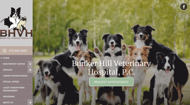 bunkerhillvet.com