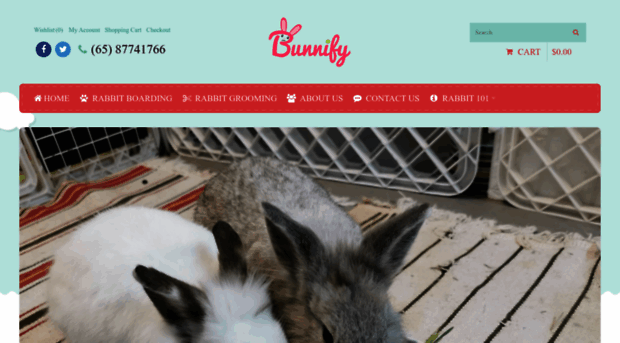 bunnify.com