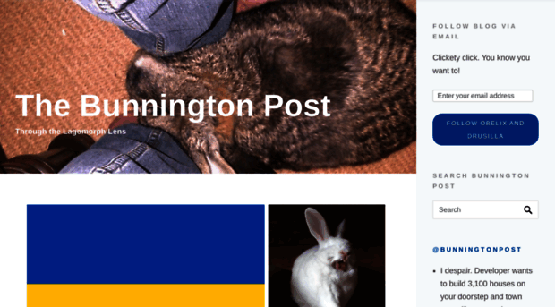 bunningtonpost.com