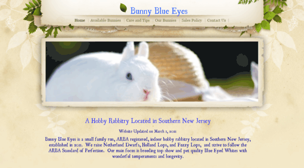 bunnyblueeyes.com