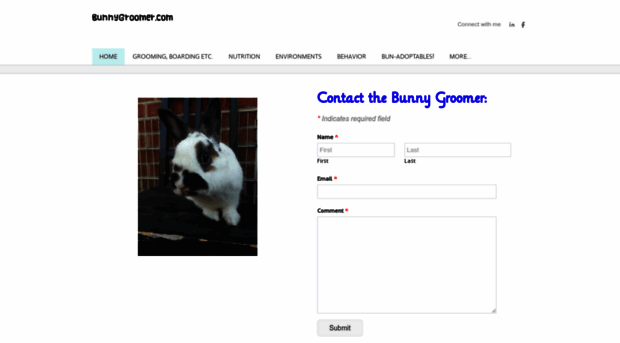 bunnygroomer.com