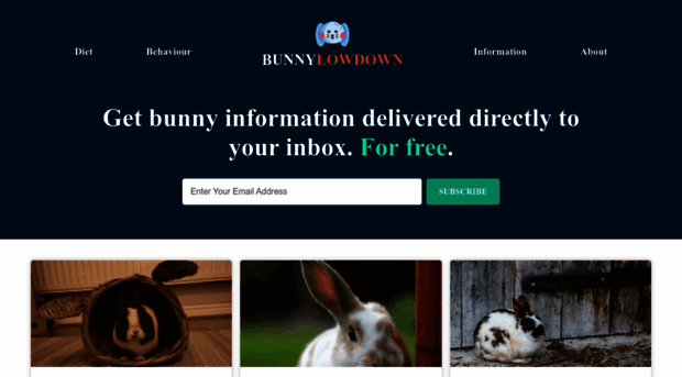 bunnylowdown.com