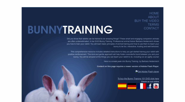 bunnytraining.com