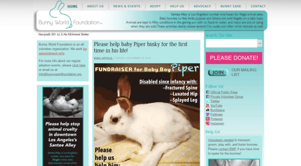 bunnyworldfoundation.org