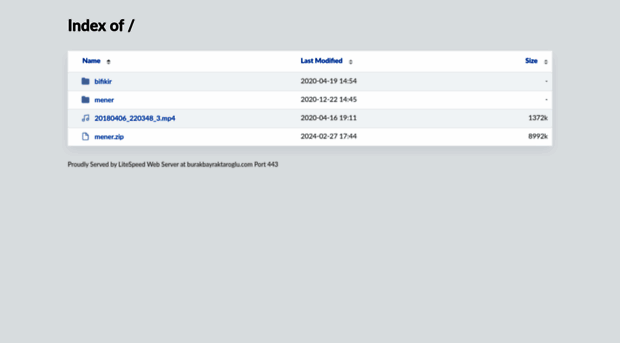 burakbayraktaroglu.com