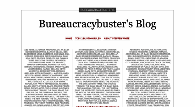 bureaucracybuster.com