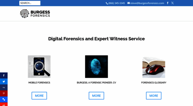 burgessforensics.com